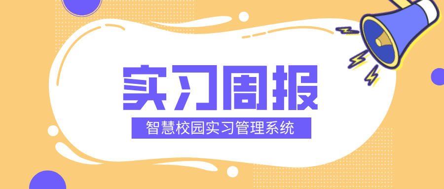 實(shí)訓周報