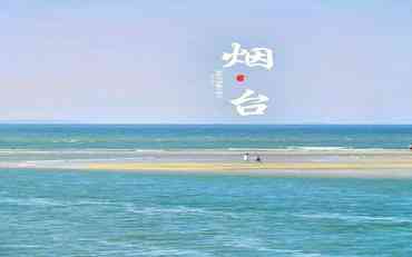煙臺實(shí)習管理新實(shí)踐：定制化平臺助力校企無(wú)縫銜接