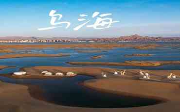 烏海地區校園OA辦公系統應用實(shí)踐：提升教育管理效率的新路徑